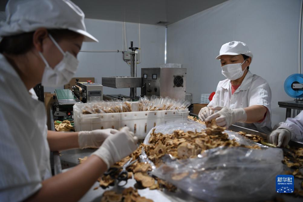 下载威尼斯彩票
